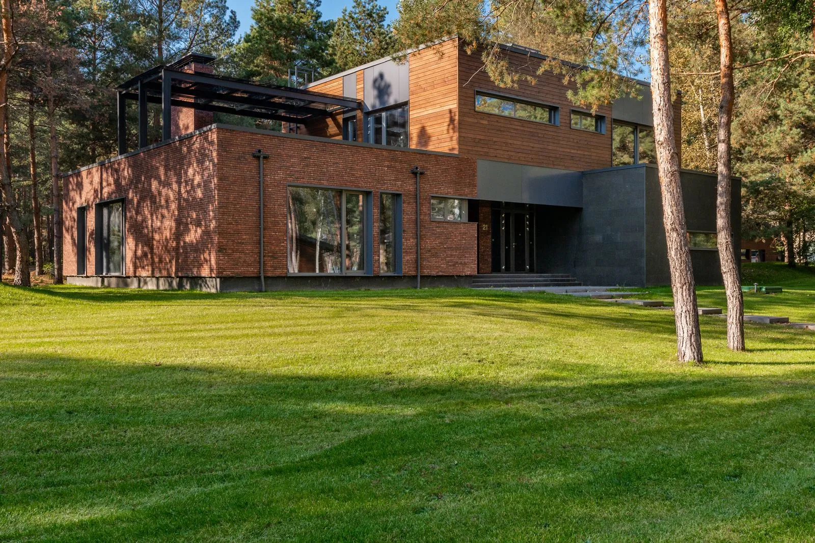 How to Tell If Your Lawn Needs Dethatching
